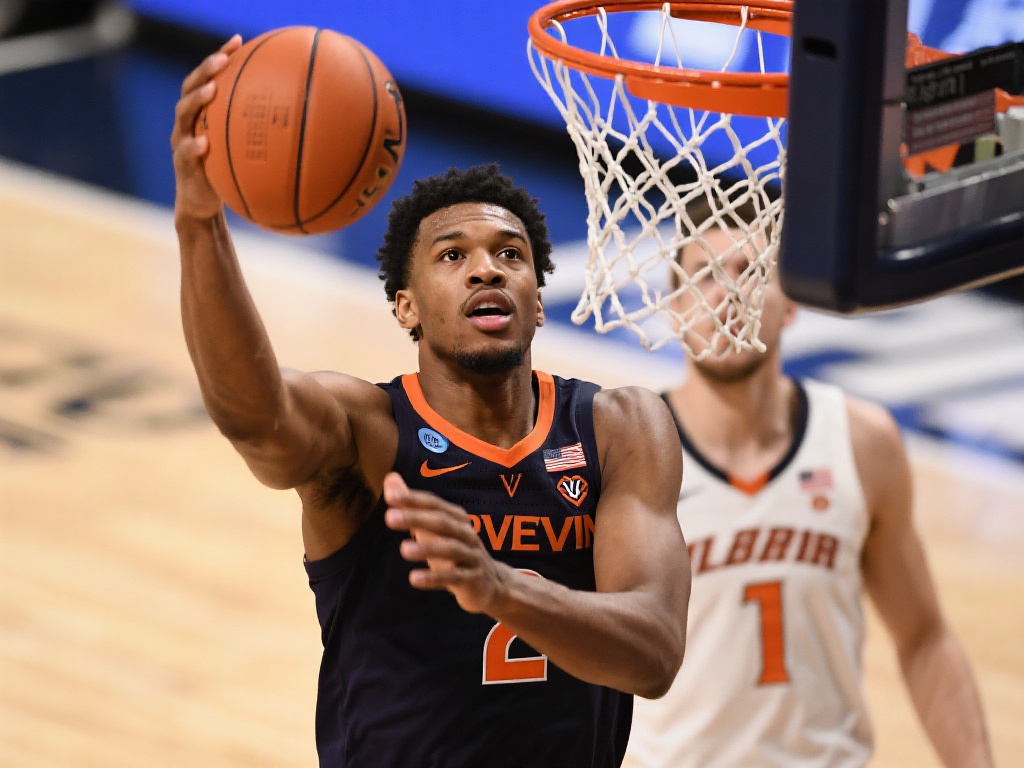 并不总是固 并不总是固